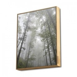 frame speaker forest